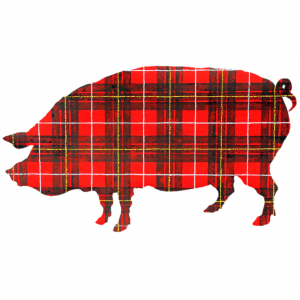 Plaid Pig PR - Jason Price